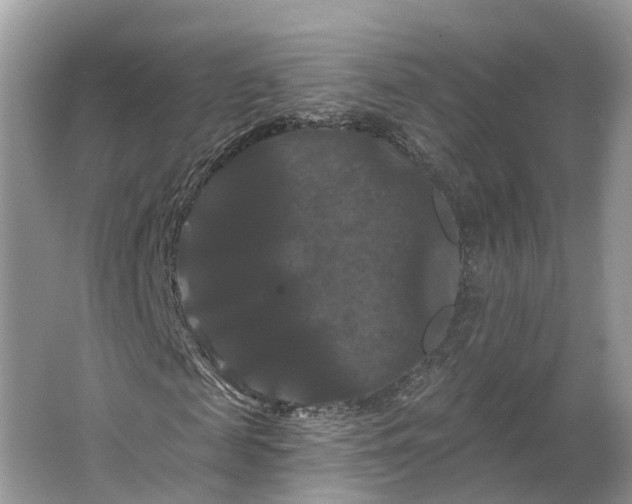 X0000066120817200603241607