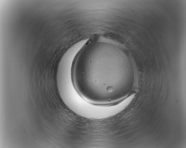 X0000066120818200603241607