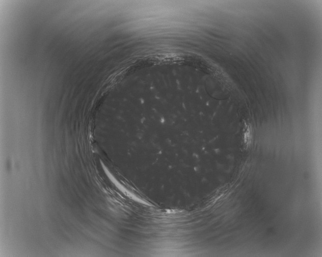 X0000066120819200603241607