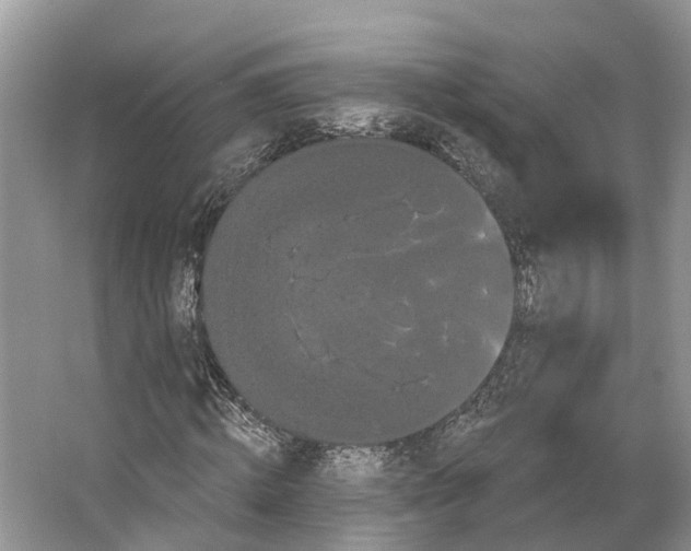 X0000066120820200603241607