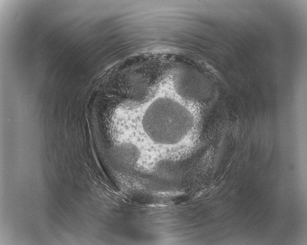 X0000066120821200603241608