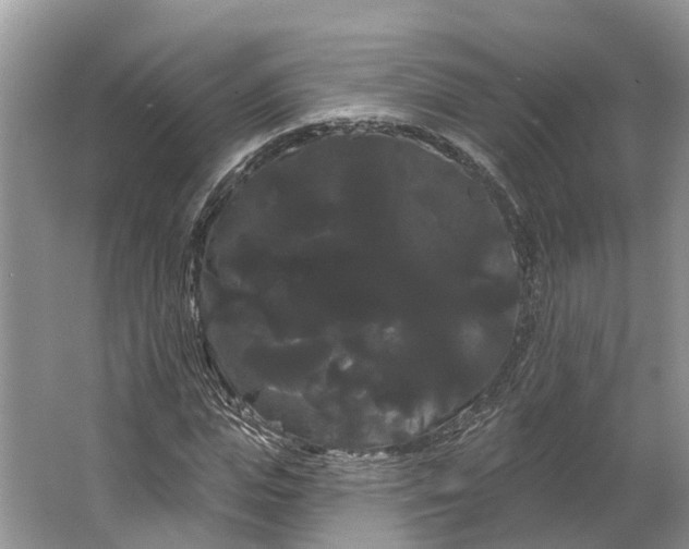 X0000066120823200603241608