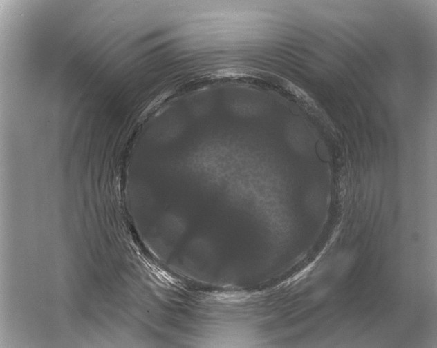 X0000066120825200603241608