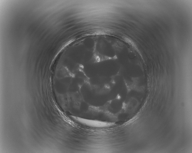 X0000066120827200603241608