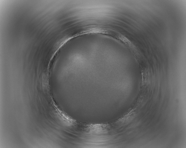 X0000066120828200603241608