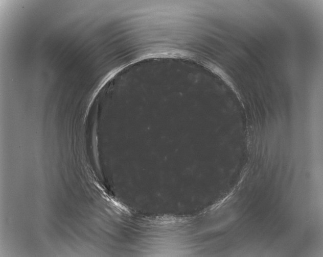 X0000066120829200603241608