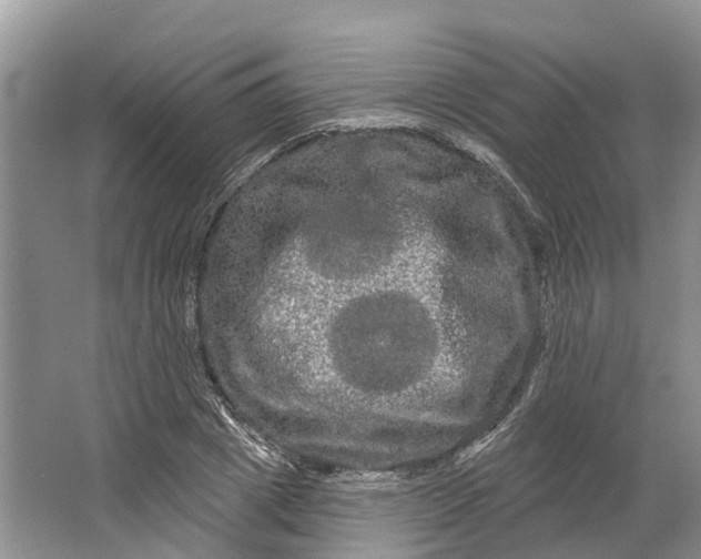 X0000066120833200603241608