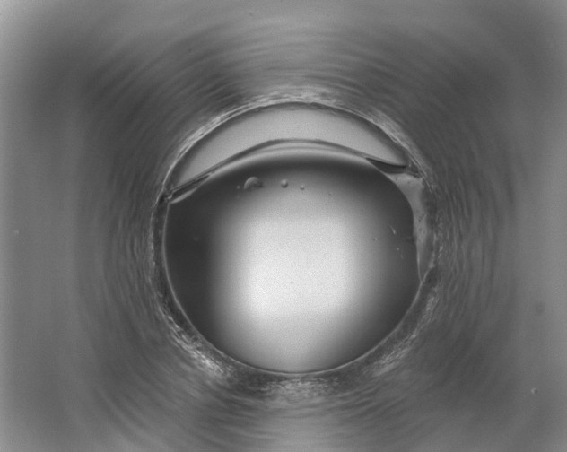 X0000066120834200603241608