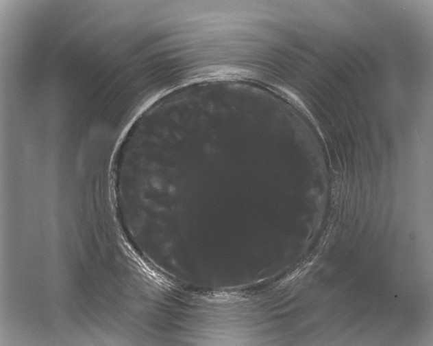 X0000066120835200603241608