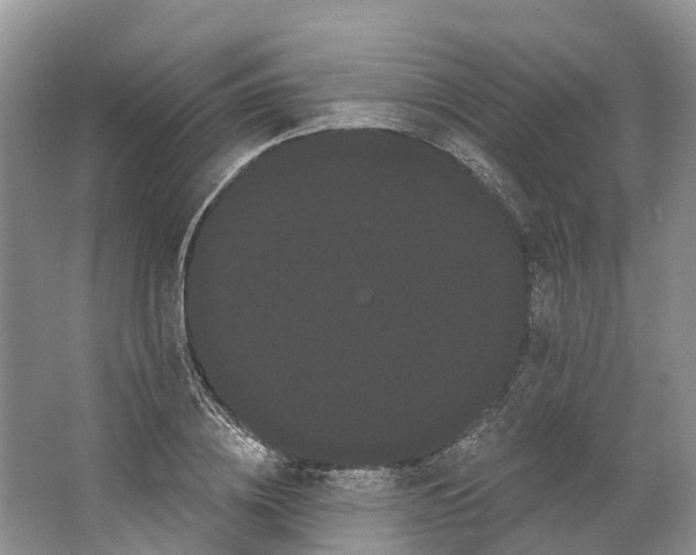 X0000066120836200603241608