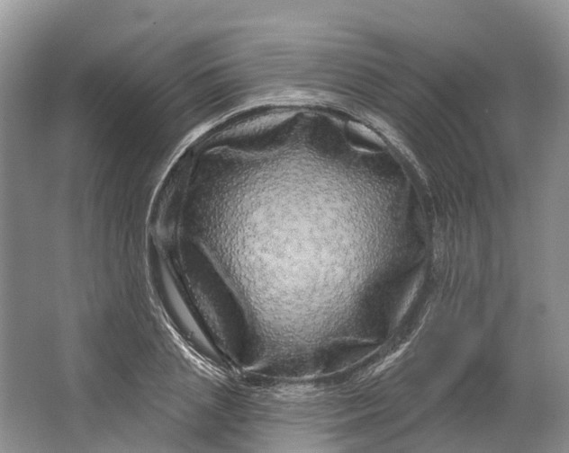 X0000066120837200603241608