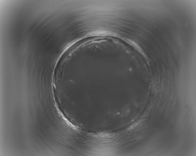 X0000066120839200603241608