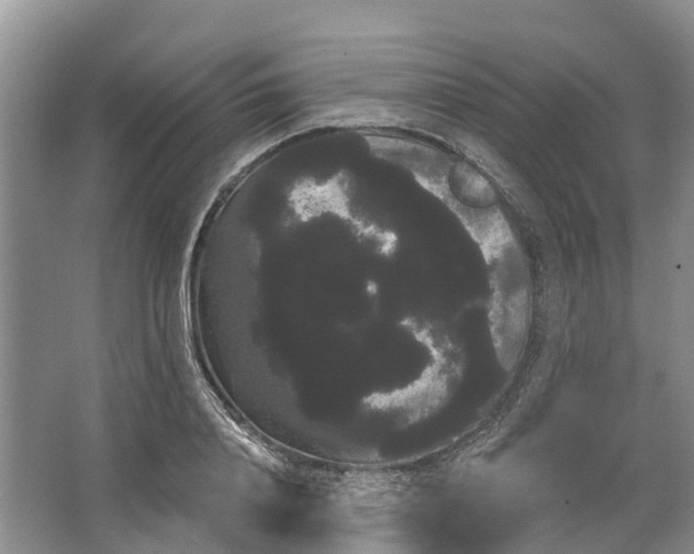 X0000066120840200603241608