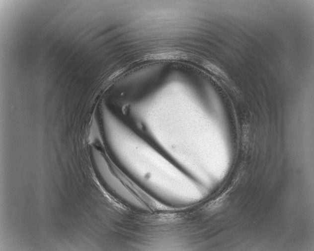 X0000066120841200603241608