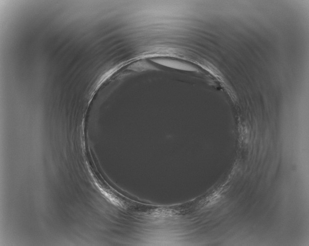 X0000066120842200603241608