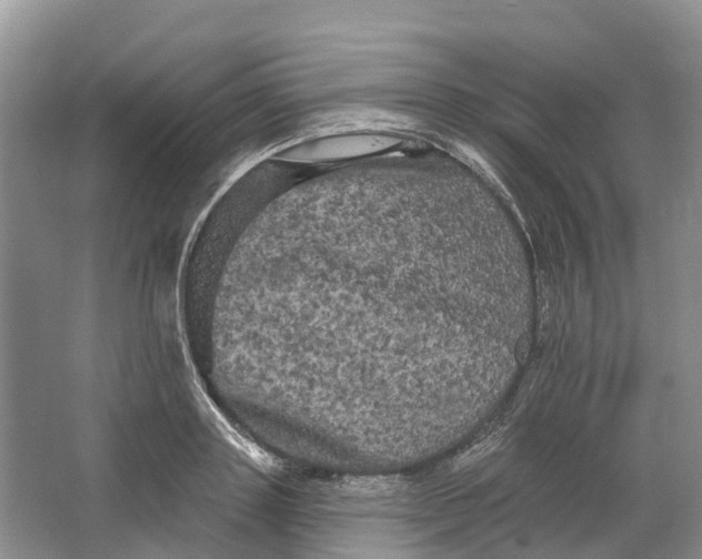 X0000066120843200603241608