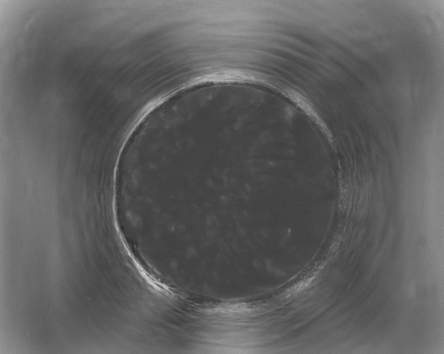 X0000066120845200603241608