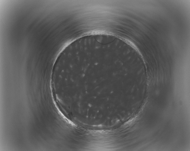 X0000066120847200603241608