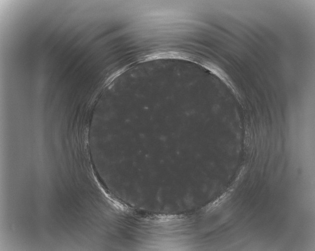 X0000066120849200603241608