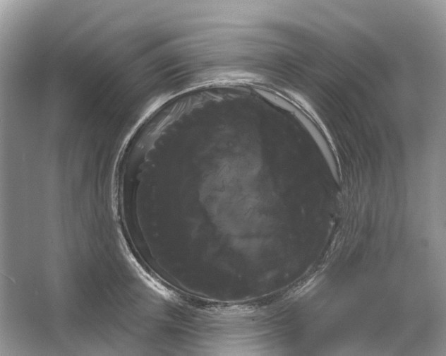 X0000066120851200603241608