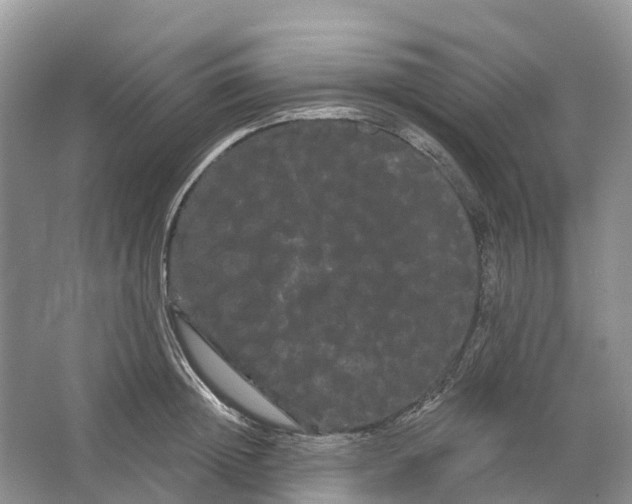 X0000066120852200603241608