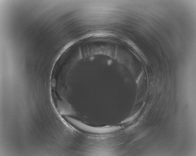 X0000066120853200603241608