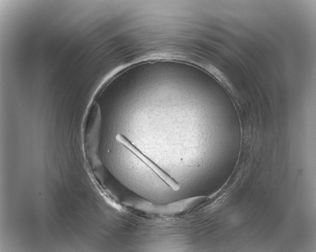 X0000066120854200603241608