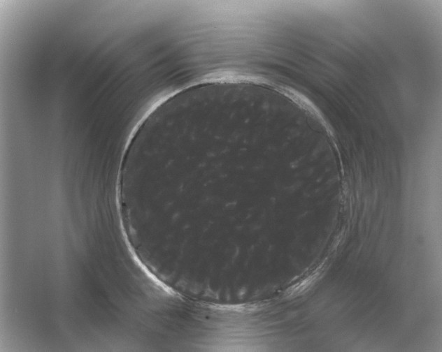 X0000066120855200603241608