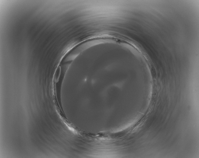 X0000066120858200603241608