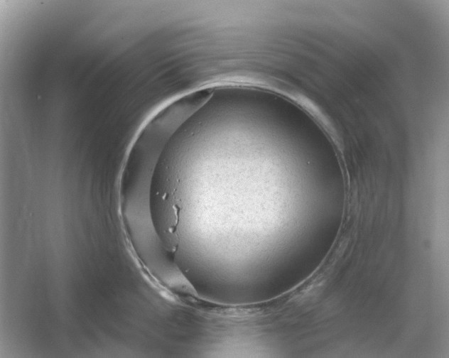 X0000066120862200603241608