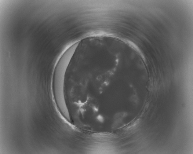 X0000066120863200603241608