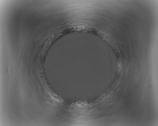 X0000066120865200603241607