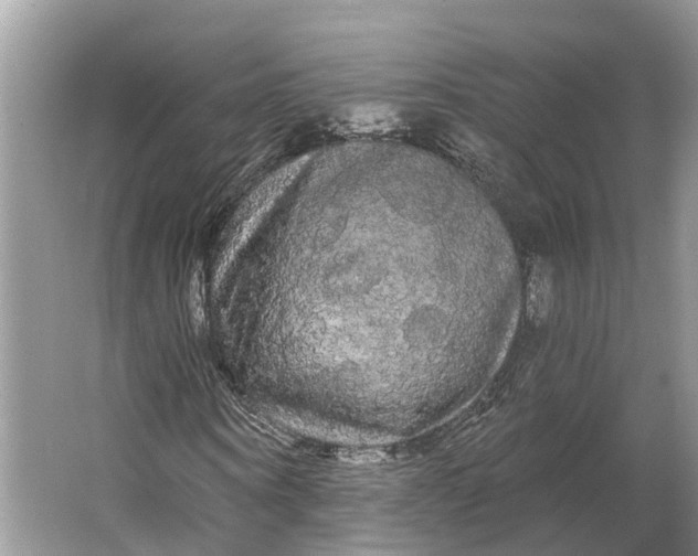 X0000066120866200603241607