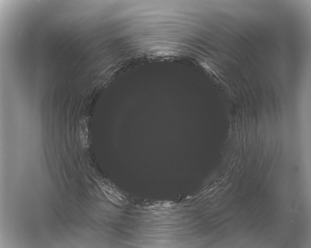 X0000066120868200603241607