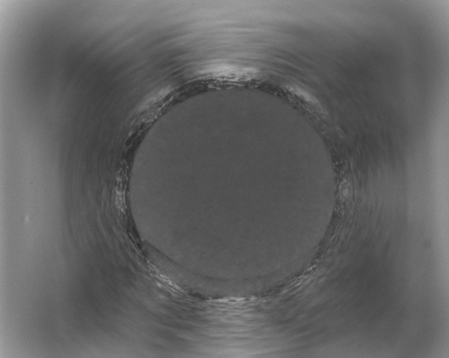 X0000066120869200603241607