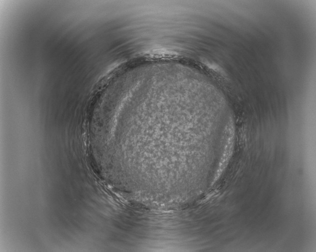 X0000066120870200603241607