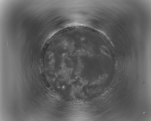 X0000066120871200603241607