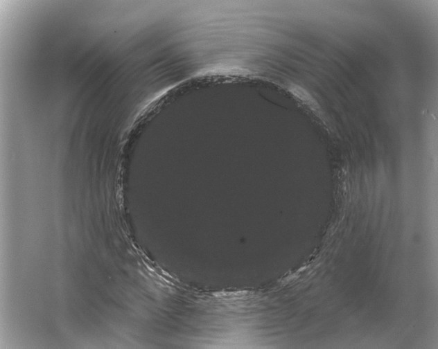 X0000066120872200603241607