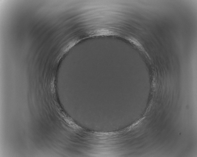 X0000066120873200603241607