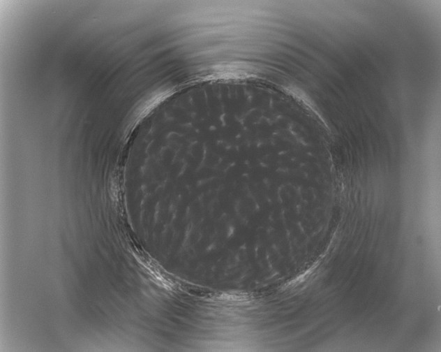 X0000066120874200603241607