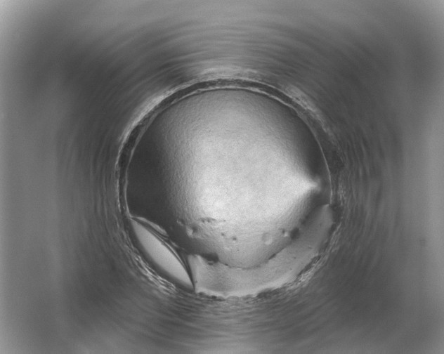 X0000066120877200603241607