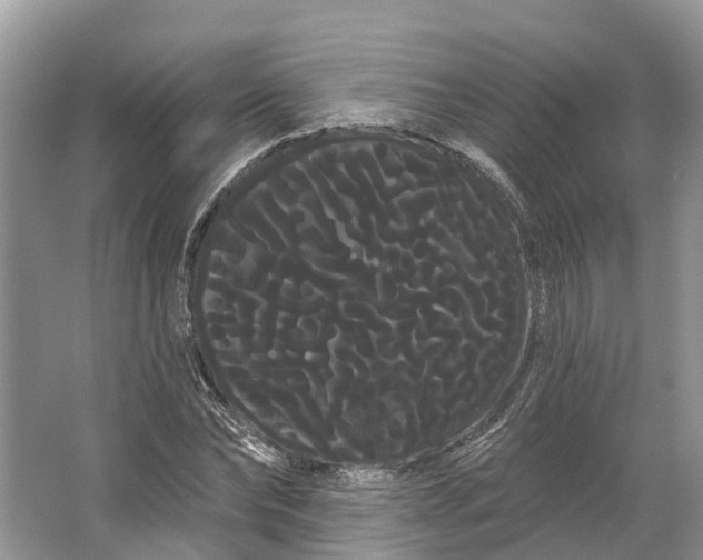 X0000066120878200603241607