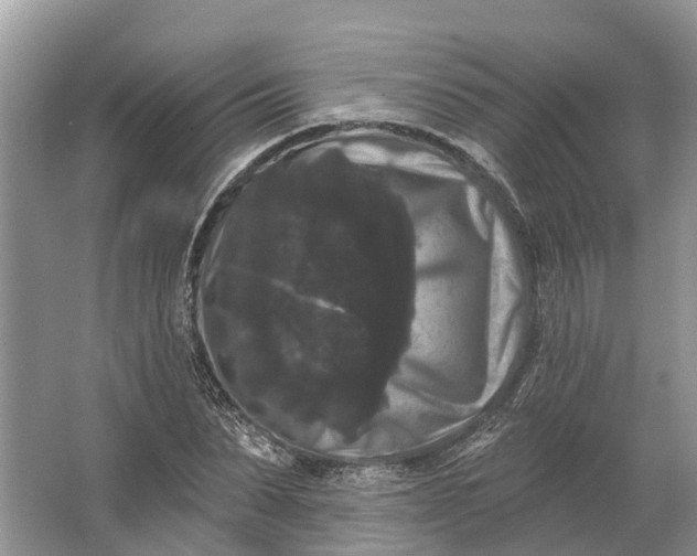 X0000066120879200603241607