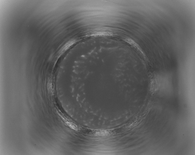 X0000066120882200603241607