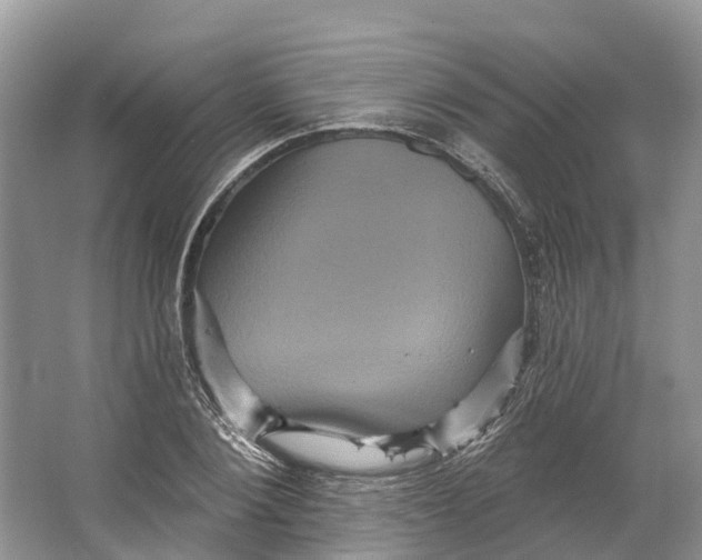 X0000066120884200603241607