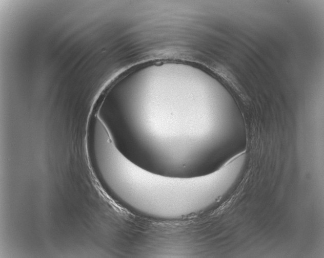 X0000066120888200603241607