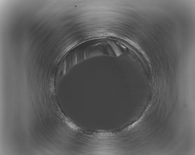 X0000066120889200603241607