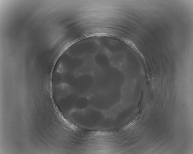 X0000066120890200603241607