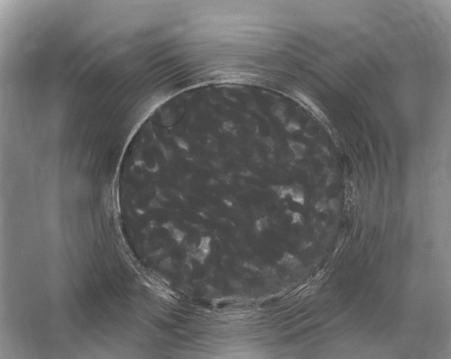 X0000066120891200603241607