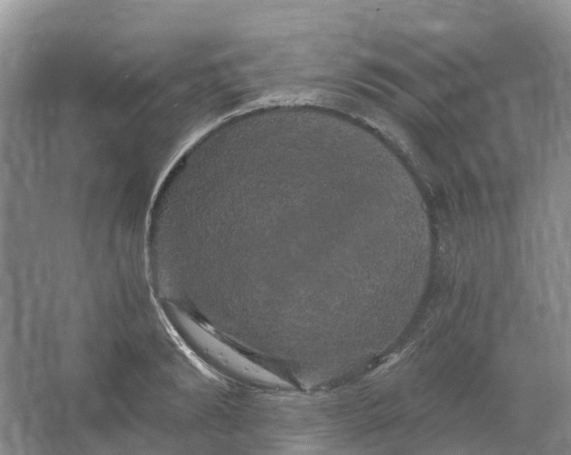 X0000066120894200603241607